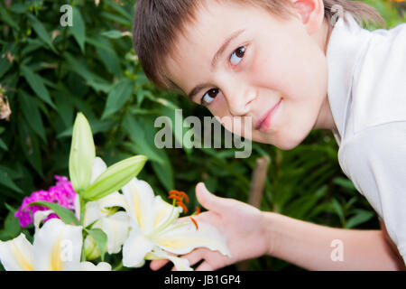 Boy and white lilies in the summer garden Stock Photo