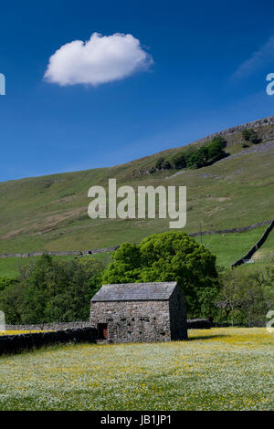Wildflower meadows in bloom, Muker Bottom, swaledale, Yorkshire Dales National Park, UK. Stock Photo