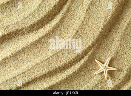 Close up of a starfish shell on beach sand Stock Photo