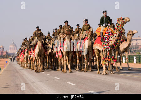 Camel Corps of the Indian Border Security Force parading down the Raj Path in preparation for the annual Republic Day Parade in New Delhi, India. Stock Photo