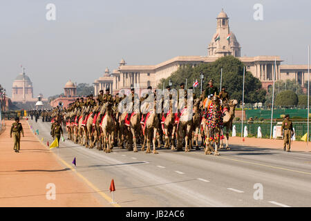 Camel Corps of the Indian Border Security Force parading down the Raj Path in preparation for the annual Republic Day Parade in New Delhi, India. Stock Photo