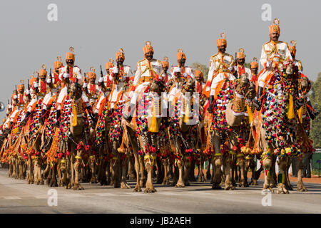 Camel Corps of the Indian Border Security Force parading down the Raj Path in preparation for the annual Republic Day Parade in New Delhi, India. Stock Photo