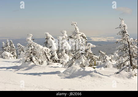 Brocken im Schnee und Eis, Winter,Harz.Misty landscape in Winter Brocken Harz Germany. Stock Photo