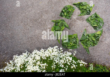 recycle symbol made from leaves Stock Photo