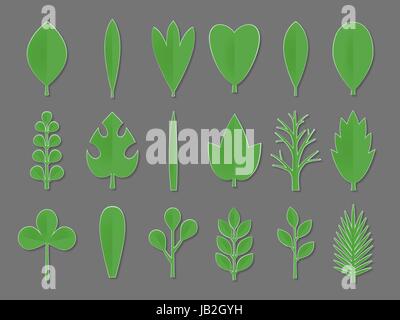 Set of green paper flower and tree leaves isolated