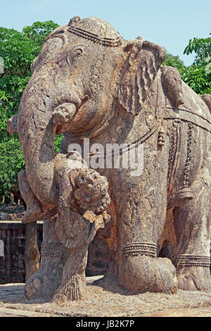 Statue of an enraged elephant in the grounds of the ancient Surya Hindu Temple at Konark in Orissa, India. Stock Photo