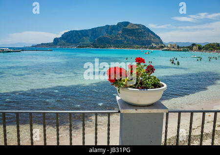 Red flowers in front of Mondello beach near Palermo, Italy Stock Photo