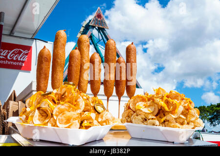 Miami Florida,Tamiami Park,Miami-Dade County Youth Fair & Exposition,carnival food,corn dog,curly fries,fried food,FL170331010 Stock Photo