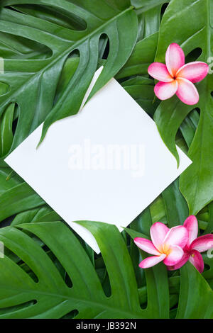 Tropic flat lay top view tropical summer botanical concept frame with palm leaves and plumeria on white Stock Photo