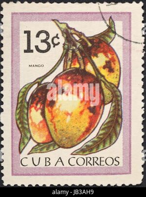 CUBA - CIRCA 1963: A postage stamp printed in the Cuba shows tropical fruit - mango, circa 1963 Stock Photo