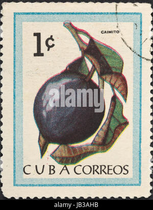 CUBA - CIRCA 1963: A postage stamp printed in the Cuba shows tropical fruit - Caimito, circa 1963 Stock Photo