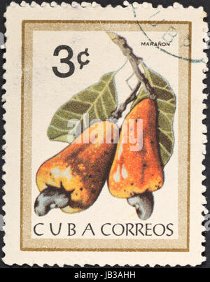 CUBA - CIRCA 1963: A postage stamp printed in the Cuba shows tropical fruit - maranon fruit cashew, circa 1963 Stock Photo