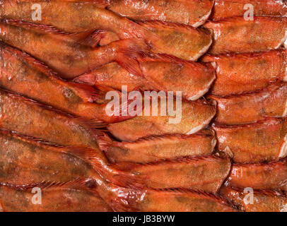 frozen carcass fish in brick for trade, background Stock Photo