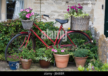 Old bicycle baskets and wicker full of flowers in the front garden of a cottage. Filkins, Cotswolds, Oxfordshire, UK Stock Photo
