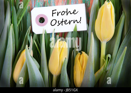Easter Background with Label with the German Words Frohe Ostern which means Happy Easter Stock Photo