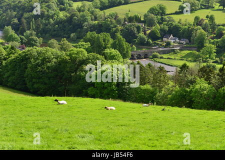 The bridge at the village of Inistioge in Summertime. Stock Photo