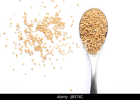 Whole mustard seed on spoon Stock Photo