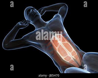 3d rendered illustration of a man doing sit-ups Stock Photo