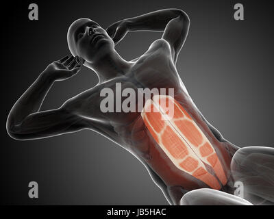 3d rendered illustration of a man doing sit-ups Stock Photo