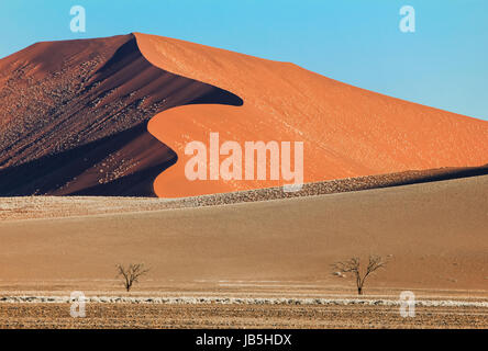 Big red sand dune with two trees in the desert. Stock Photo
