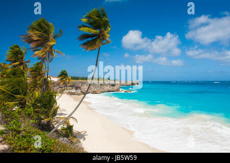 Bottom Bay is one of the most beautiful beaches on the Caribbean island of Barbados. It is a tropical paradise with palms hanging over turquoise sea Stock Photo