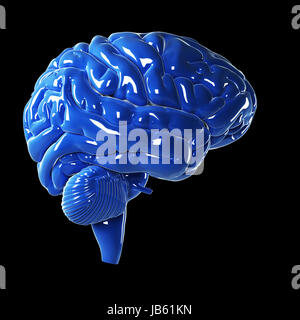 3d rendered illustration - glossy blue brain Stock Photo