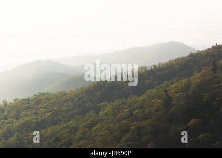 Shenandoah Valley Fog Stock Photo