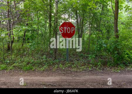 red stop sign in green forest with dirt road Stock Photo