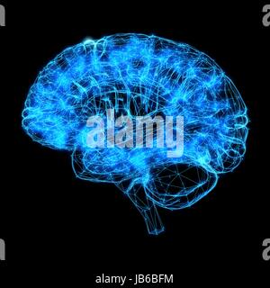 Human brain, computer illustration. Stock Photo