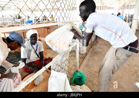 (170609) -- NAIROBI, June 9, 2017(Xinhua) -- Refugees receive food at Kakuma refugees camp in Turkana county, Kenya, June 7, 2017. Kakuma camp is located in the north-western region of Kenya. The camp was established in 1992. Kenya has the second largest refugee population in Africa. (Xinhua/Sun Ruibo)(rh) Stock Photo