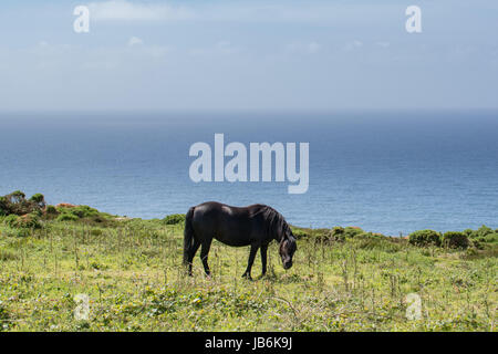 Treen and Penberth, Cornwall, UK. 9th June 2017. UK Weather. A hot and sunny morning for walkers enjoying the south west coast path in Cornwall, taking in film locations - such as Penberth Cove - used in the new BBC Poldark series starting on Sunday, starring Aidan Turner and Eleanor Tomlinson. Credit: Simon Maycock/Alamy Live News Stock Photo