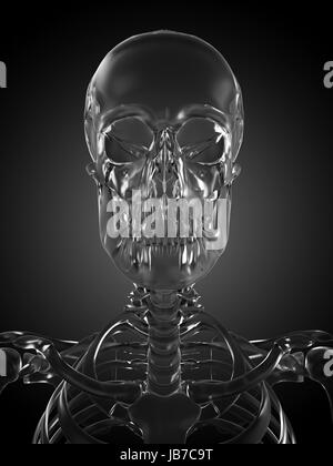 3d rendered illustration of a glass skeleton Stock Photo