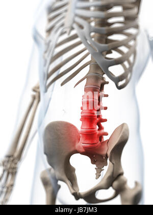 3d rendered illustration of a painful lumbar spine Stock Photo - Alamy