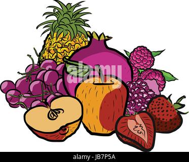 Fresh Summer Fruits  Colored Artwork separated on White, Fresh Food Collection, Handdrawn Clean Summer Sketch Stock Vector