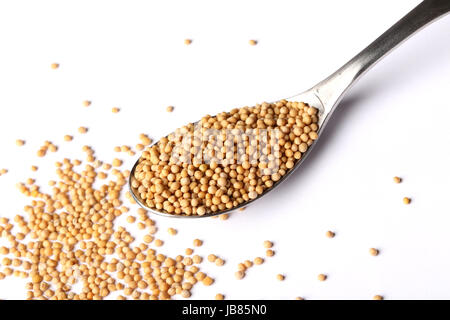 Whole mustard seed on spoon Stock Photo