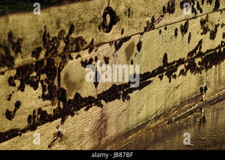 Close Up Abstract of a Wooden Groyne in the Golden Light of Sunrise. Aberdeen Beach, Scotland. April 2017. Stock Photo