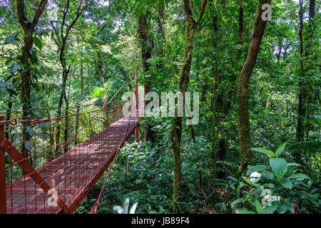 Wide angle view of red hanging bridge in the Rainforest of Monteverde Stock Photo