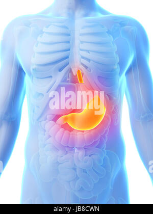 3d rendered illustration - painful stomach Stock Photo
