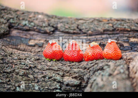 Sweet strawberry wedding rings Stock Photo