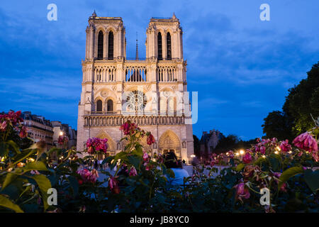 Notre Dame Cathedral during night Stock Photo