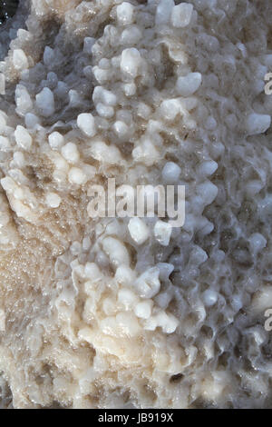 Dead Sea coastline, whit salt crystals and formations in the sand. Jordan Stock Photo