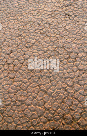 Wadi Rum Desert dry soil detail. Jordan. Stock Photo