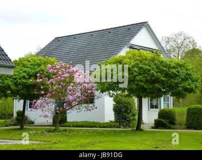 Fertighaus mit Gartenanlage, Schwaben Haus, Einfamilienhaus