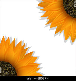 sunflower youtube banner sunflower 2048 x 1152