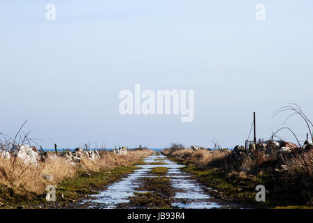 Flooded dirt road at the swedish island Oland Stock Photo