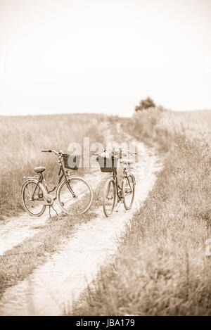 Photo presents two classic bicycles parked on dirt road, in one of bikes visible bunch of wild flowers, sepia photo. Stock Photo