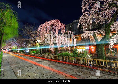 Gion in Kyoto with traffic trail and sakura tree Stock Photo