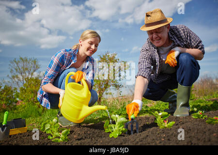 Image of couple of farmers seedling and watering sprouts in the garden Stock Photo