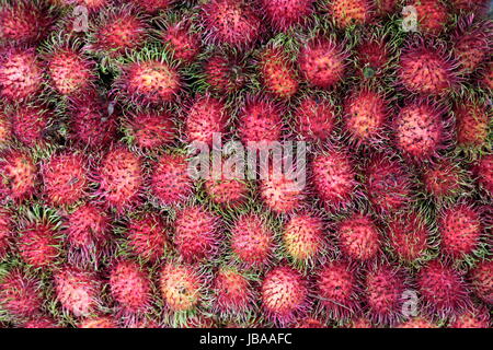 Menschen auf dem Grossen Lebensmittelmarkt von Talat Warorot in Chiang Mai im Norden von Thailand. Stock Photo