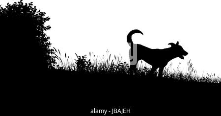 Editable vector silhouette of a young dog in a grassy meadow with dog as a separate object Stock Vector
